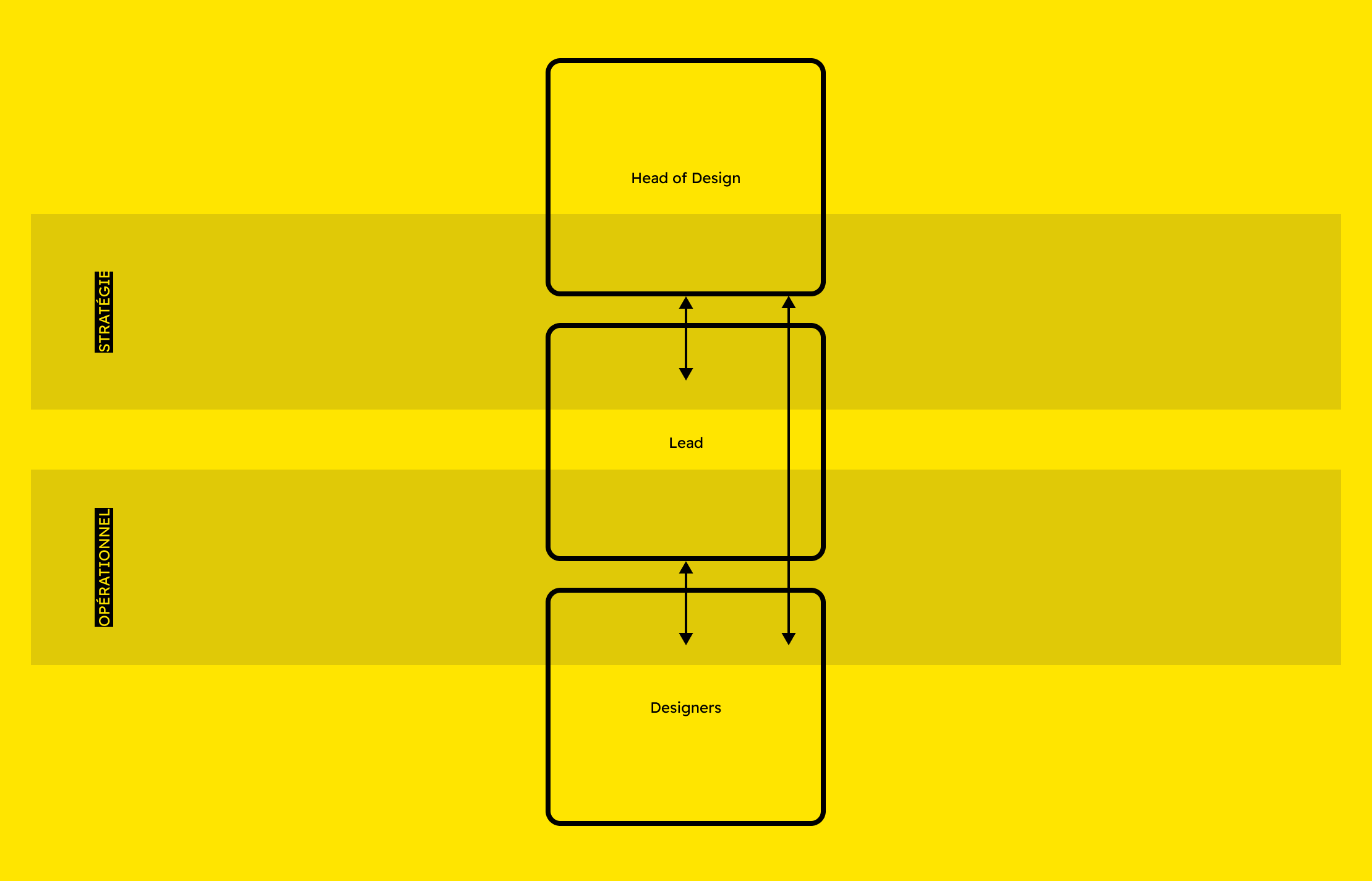 Structure de l'équipe
